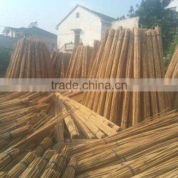 WY-211 Natural Dryness for 12% Straight Garden Tonkin Bamboo Poles Bamboo Canes Bamboo Stakes for Sale photo-5
