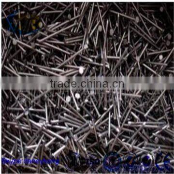 All Kinds of Standard Black Concrete Nail Concrete Steel Nail photo-4