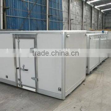 meat transport refrigerated mini car freezer.