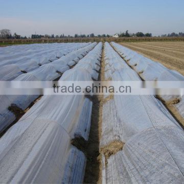 Small farm or Family used garden greenhouse film tunnel mulch film for vegetables