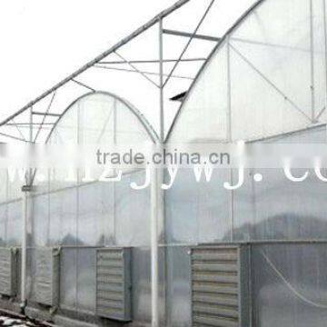Sunlight greenhouses