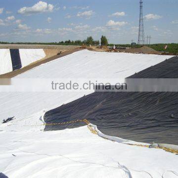Hdpe Geomembrane Price photo-5