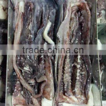 1kg up Giant Squid Tentacle photo-2