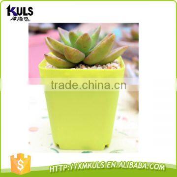 Wholesale Colorful Cheap Mini Plastic Flower Pots photo-2