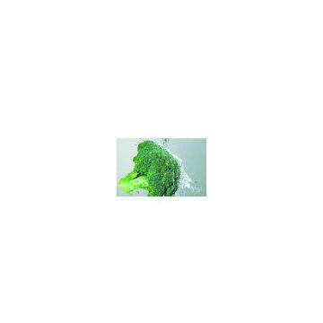 Broccoli Extract