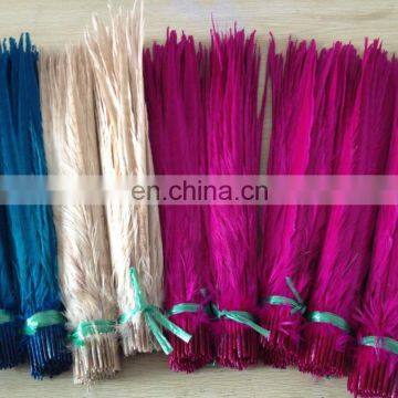 White Color Ringneck Pheasant Feathers photo-6