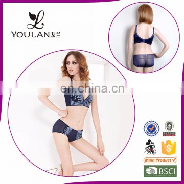 China Fancy Design Elegant Comfortable Push Up Sexy Bra Panty Set