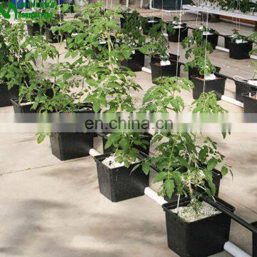 Hydroponics Grow Tent Used Dutch Bucket Sale