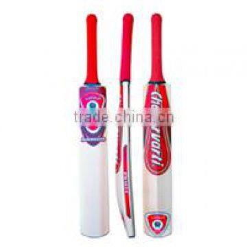 Kashmir Willow Cricket Bat