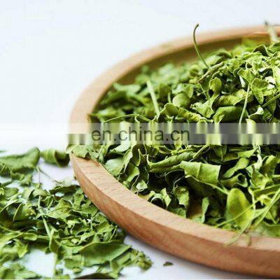 Organic Moringa Pellets Green/100% Pure Organic Moringa Leaf/Good Choice Dried Moringa Leaf For Tea Made in Vietnam photo-3
