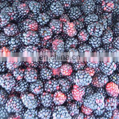 Sinocharm BRC-A Approved Fresh IQF Frozen Nutrition Blackberry With High Quality photo-5
