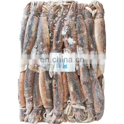 frozen argentina illex squid frozen illex squid price