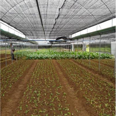 Light 60gsm Greenhouse Shade Net Agriculture Farm Orchard Outdoor Shade Net Cover