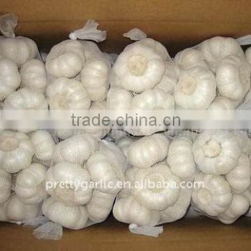 small package garlic 2011