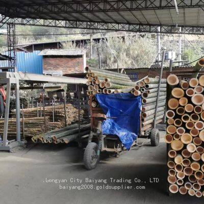 Bamboo Marshmallow Stick, Agarbatti Bamboo Stick, Round Bamboo Stick