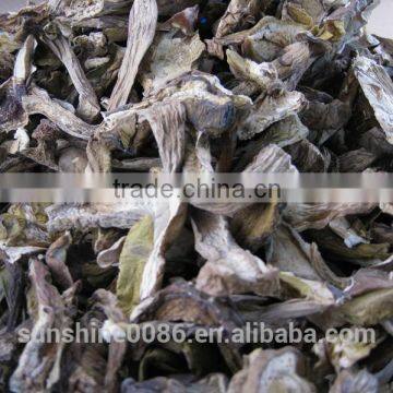 Market Prices For Boletus photo-2