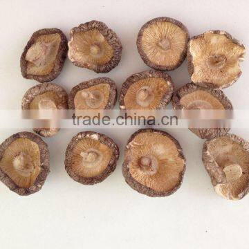 Polish Wild Dried Mushrooms photo-5