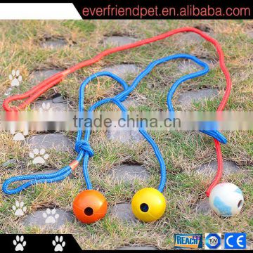 Dog Walking Toy with Rope