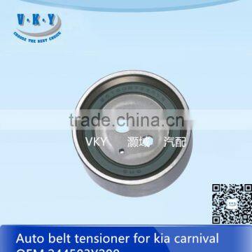 244503Y200 Autobelt Tensioner for Carnivel