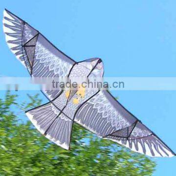 cheaper eagle kite