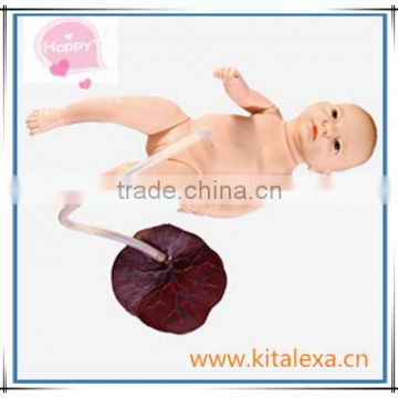 Neonatal umbilical cord care model KA-TP00010