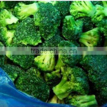 IQF FROZEN BROCCOLI FLORET