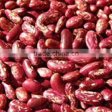 kidney beans