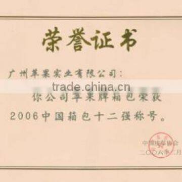 One of Top 12 Companies of  The Chinese Leather Go