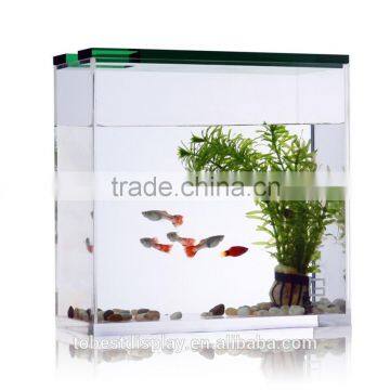 Excellent Desktop Rectangle Clear Acrylic Fish Tank,large Acrylic Aquarium,large Acrylic Fish Tank With Flower Pot photo-4