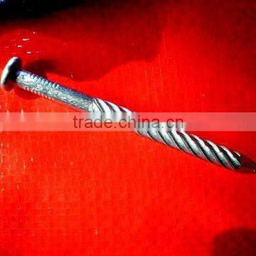Africa Market Fast Sell Galvanized Oval Head Twisted Nails photo-3