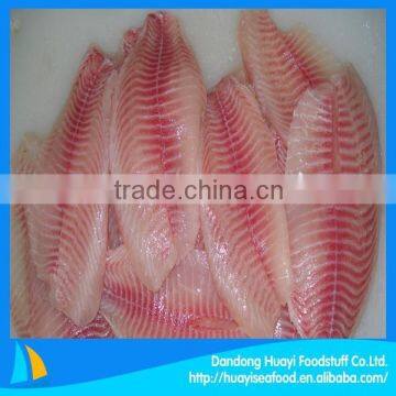China Tilapia Exporters