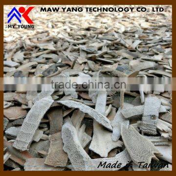 Personal Energy Giving Trionyx Shell Powder Japan Health Food