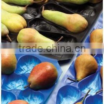 Safety Food Grade Custom Design Plastic Fruit And Veggie Tray