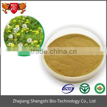 Top sale natural white dandelion herb extract powder