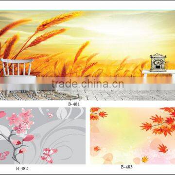 2016 wall mural/wallpaper nature pictures