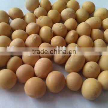 Organic Soybean/soybean/soya bean/yellow soya bean(New crop, Heilongjiang Origin. high protein)