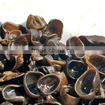 ISO9001/HACCP/Kosher/Halal Black Fungus Extract