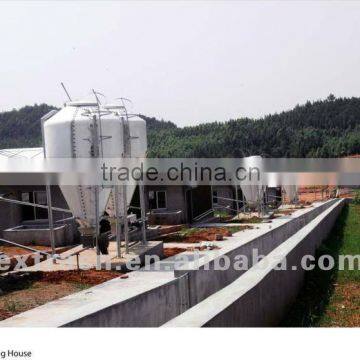 poultry farm feed silo for broiler chicken