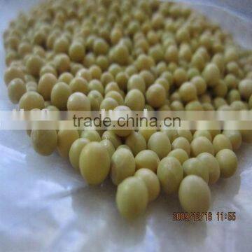 ALL TYPES soya bean China Non-Gmo/organic 2010