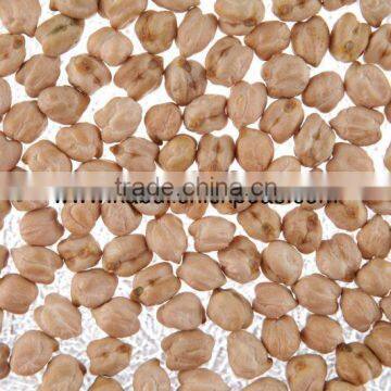 Protein Chickpeas Wholesaler photo-5
