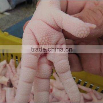Halal Chicken Frozen Chicken Feet