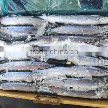 frozen seafood pacific saury indian mackerel fish