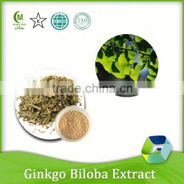 factory offer healthy product pure ginkgo biloba extract 24% flavone