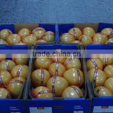 Chinese Fresh Honey Pomelo Citrus Fruits With Wholesales Price photo-6