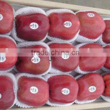 Chinese new crop Huaniu Apple