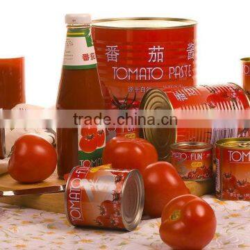 Chiness Canned Tomato Paste