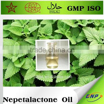 100% nature Nepetalactone Oil