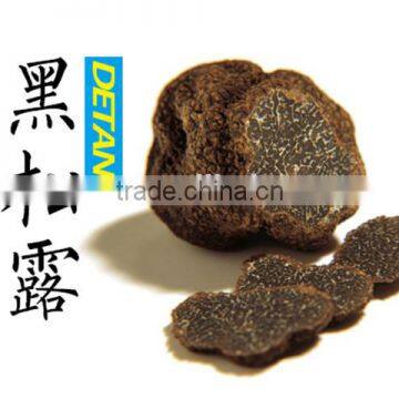 High Quality Wild Black Truffle 100% Wild Truffle for Sale photo-2
