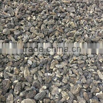 High quality dried morels mushroom