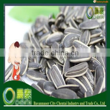 Big Size Long Size Best Quality Sunflower Seeds 5009